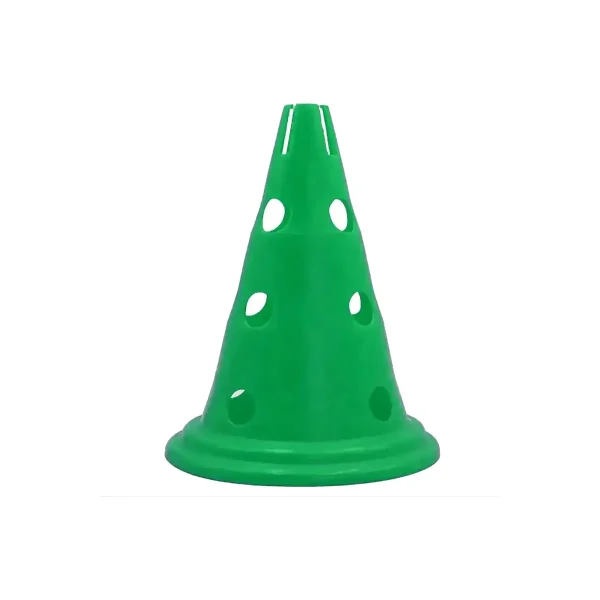 Pionnen